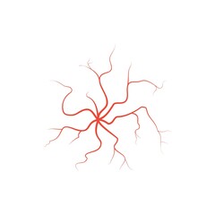 Human red eye veins, anatomy blood vessel arteries illustration. Vector medical eyeball vein arteries system map. Veins in flat style isolated on white background