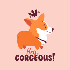 Corgi with crown and quote - Hey, corgeous. Welsh corgi print for card, poster or t-shirt design. Vector illustration isolated on pink background. Cute dog and funny lettering.