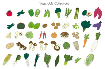 Vegetable drawing illustration set