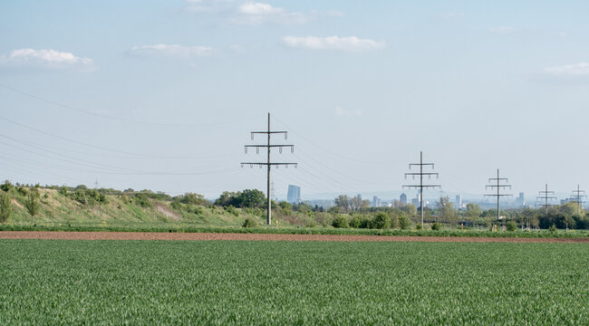 Green farmland with wheat or grain and power poles. Agriculture scene, with electricity poles in the background during springtime. Blue sky with few clouds. 