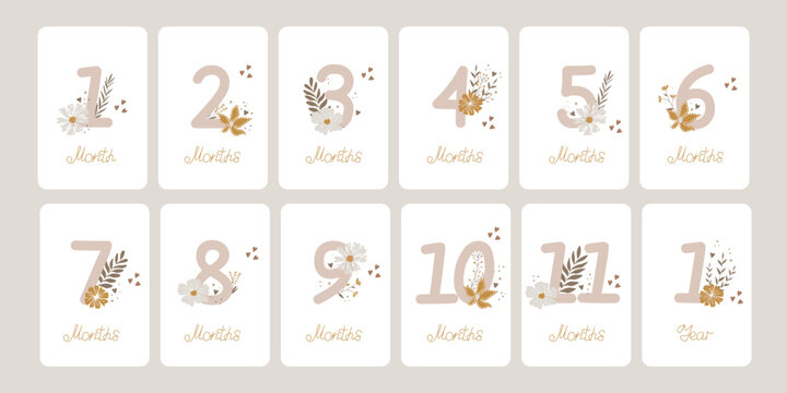 Cute set of monthly milestone cards. Baby postcards with numbers and flowers for a newborn girl. Print baby shower, baby's birthday. Kids collection of 1-11 months and 1 year. Nursery design