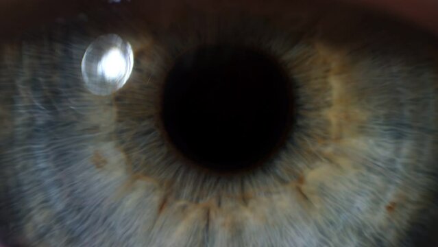 Extreme close up of human eye. Blue eye opening and closing in slow motion