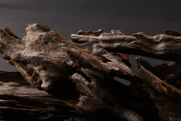 Close UpShot Of Sticks Of oudh On Black Background The Incense Chips Used By Burning It Or For Arabian Oud Oils Or Bakhoor
