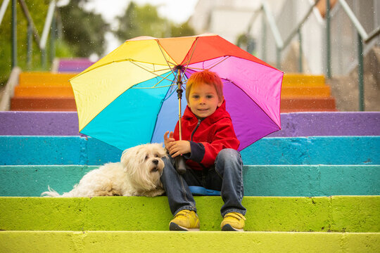 Cute preschool child with pet dog, holding colorful rainbow umbrella, sitting on colorful stairs