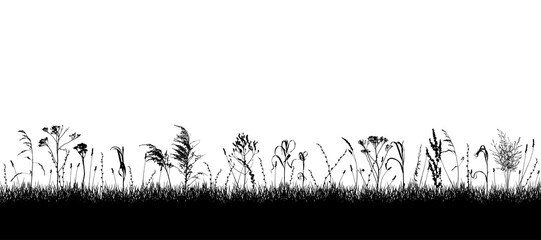 Meadow with wild weeds and grass, silhouette. Background of grassland. Vector illustration
