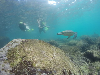 DCIM\100GOPRO\G0431361.