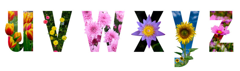 Floral letters. The letters u, v, w, x, y, z, are made from colorful flower photos. A collection of wonderful flora letters for unique spring decorations. flower on a white isolated background 