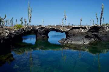 túneles de lava en galápagos  © Rafael