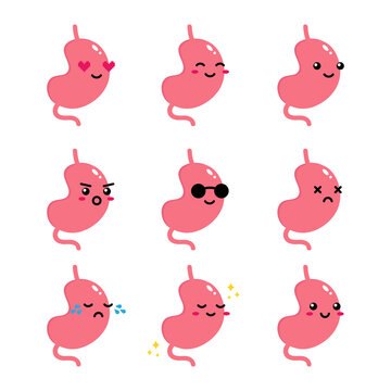 Set, collection, pack of stomach emoji, vector cartoon style icons of healthy stomach characters with different facial expressions, happy, sad, shining, joyful.