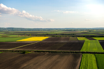 Field of oilseed rape, green and striped arable land in spring view from the air