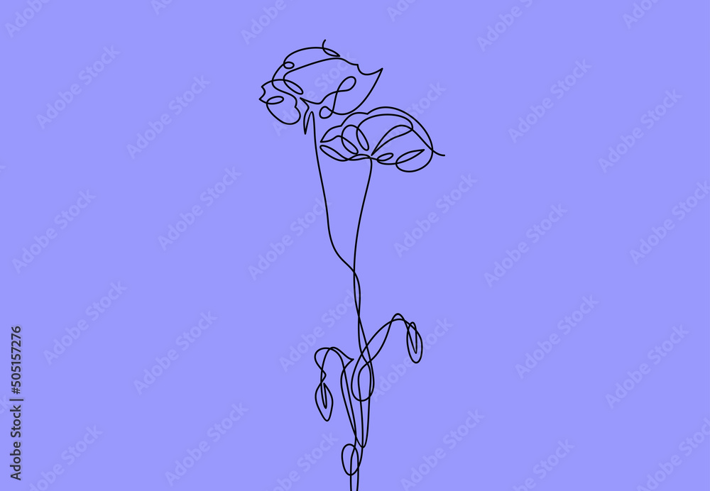 Poster poppy. continuous line - vector.background line drawing