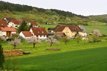 Fototapeta na wymiar German Landscape. Spring in the Countryside. Green meadows, grass, blossoming Cherry Trees, Dandelions. Modern Village houses . green fields, forest on the hills and sky on the background
