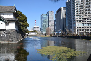 japanese style building and skyscrapers along the river