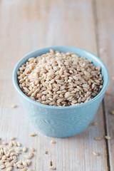 A bowl with raw barley seeds