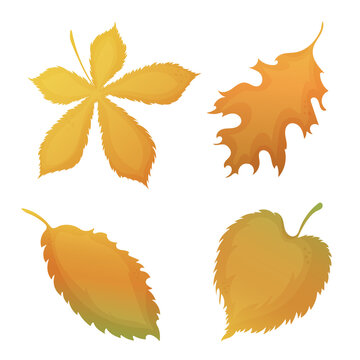 Set of withering leaves. White background. Isolated leaves. Hand-drawn digital illustration. Vector illustration