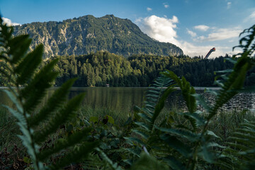 Oberstdorf Freibergsee und Skiflugschanze - Allgäuer Alpen