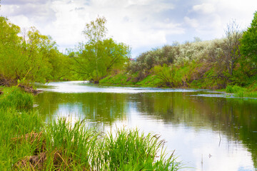 Fototapeta na wymiar Summer green landscape of nature river. River in the countryside in summer. Rural river in summer