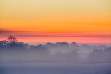 Winter sunset, with golden sky and low mist over frozen fields. Kildare, Ireland.
