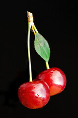 sweet cherries on black background