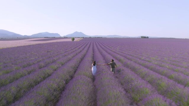 Couple amoureux se tenant la main dans  un champs de lavandes  vue du ciel en drone &agrave; Valensole (en France, Provence)