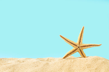 Fototapeta na wymiar Una estrella de mar sobre un arena y un fondo celeste liso y aislado. Vista de frente y de cerca. Copy space