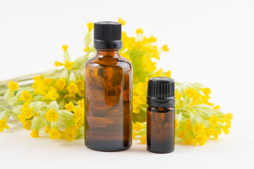 Dark glass bottles and cowslip, Primula veris, flowers isolated on white background.