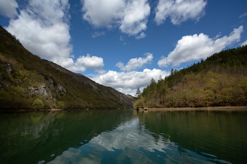 Fototapeta na wymiar A series of cruises on the Drina river Рeflections 15