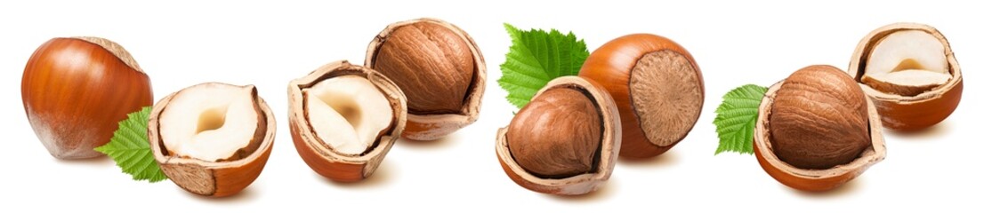 Hazelnut set isolated on white background. Nuts with leaves in nutshell.