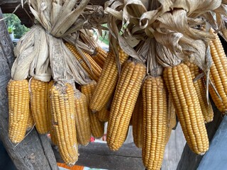 Sweetcorn, vegetarian food ingredients