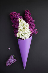 White and purple lilac in a paper purple cone on black  background. Close-up. Location vertical.