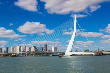 No drill light filtering roller blinds Erasmus Bridge Erasmus bridge in Rotterdam