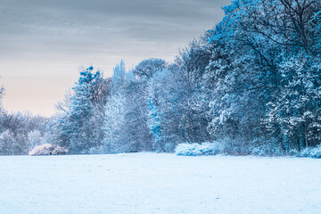 krajobraz w parku w podczerwieni wygląda jak zimowy