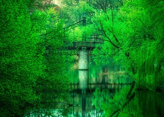 zielony Most Groszowy w Opolu