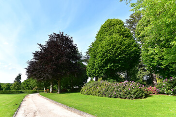 Frankreich - Cheverny - Schloss Cheverny - Schlosspark