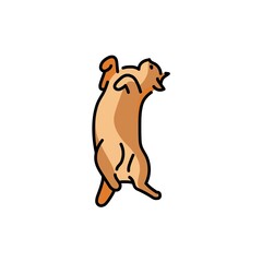 Lying cat on back color line icon. Pictogram for web page