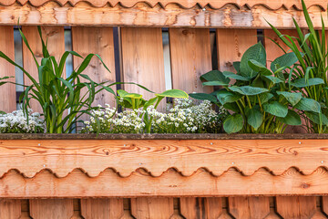 Unusual planting of a flower box on a wooden balcony