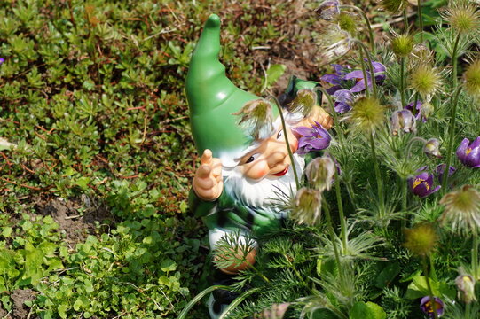 little gnomes hide in the garden