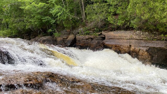 Chutes d'eau &agrave; travers des rochers en pleine for&ecirc;t. Cascades et rapides dans la rivi&egrave;re. Paysage dans un parc naturel. Mouvement de l'eau entres les pierres.