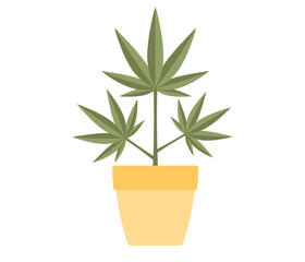 Fototapeta premium Marijuana or cannabis plant in flower pot icon. Vector flat illustration 