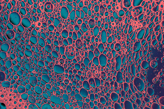 abstract surreal microscopic cells, colorful illustration