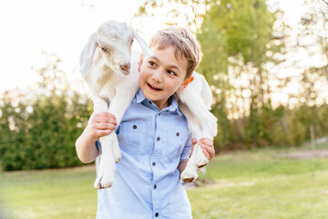 Small future farmer boy wearing blue shirt carries and holding a small goat over his shoulders,...