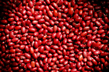Beans. Background of red beans. Legumes.