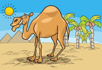 funny cartoon dromedary camel in the desert