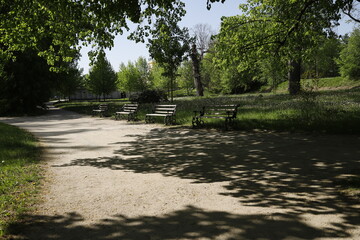 Aleja w parku wiosną w słoneczny dzień