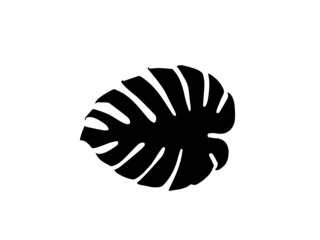 Black silhouettes of tropical palm leaves isolated on white background. Exotic plants leaves set. Vector.Set of Tropical leaves. Collection black leaves palm, fan palm, banana leaves. Nature leaves co