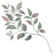 Leaf watercolor, leaves watercolor