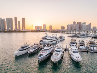 Downtown Miami Skyline & Marina