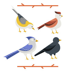 Hand drawn set of four garden birds in flat cartoon style, isolated vector illustration