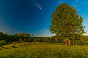 Fototapeta premium Landscape near Konice village in sping fresh color morning