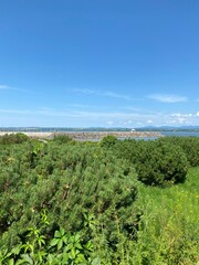 Fototapeta na wymiar Plage à marée basse avec une jetée de pierres dans un port. Paysage en bord de mer, ciel bleu en été.